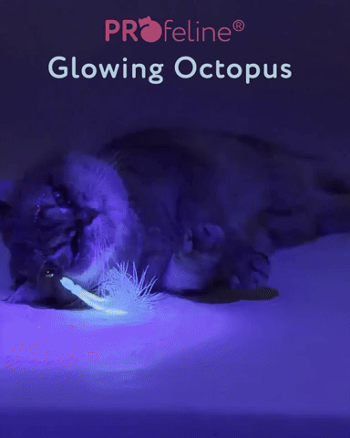 Glowing Octopus 2er Pack Refill