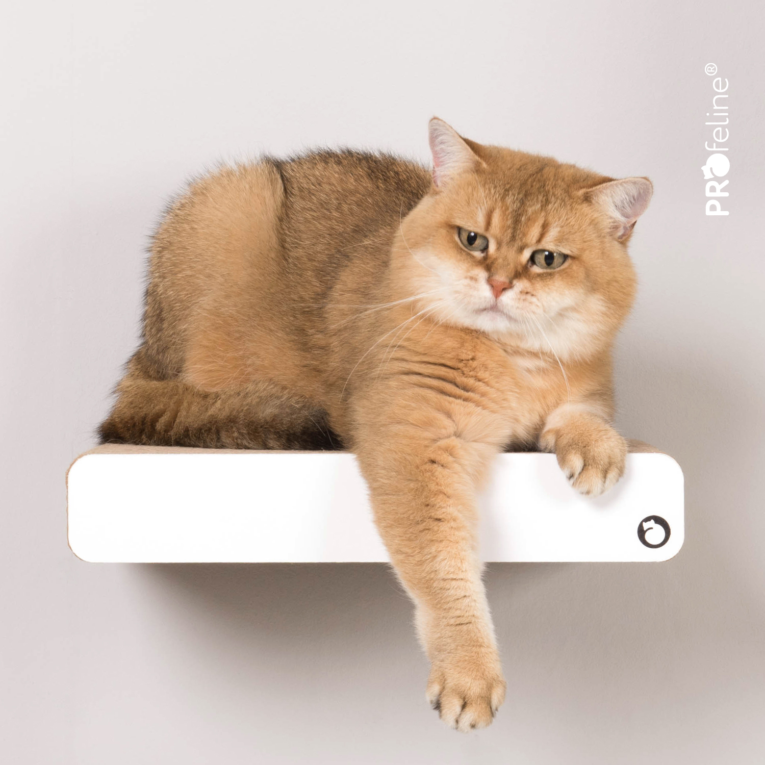 Katzen Kletterstufe
