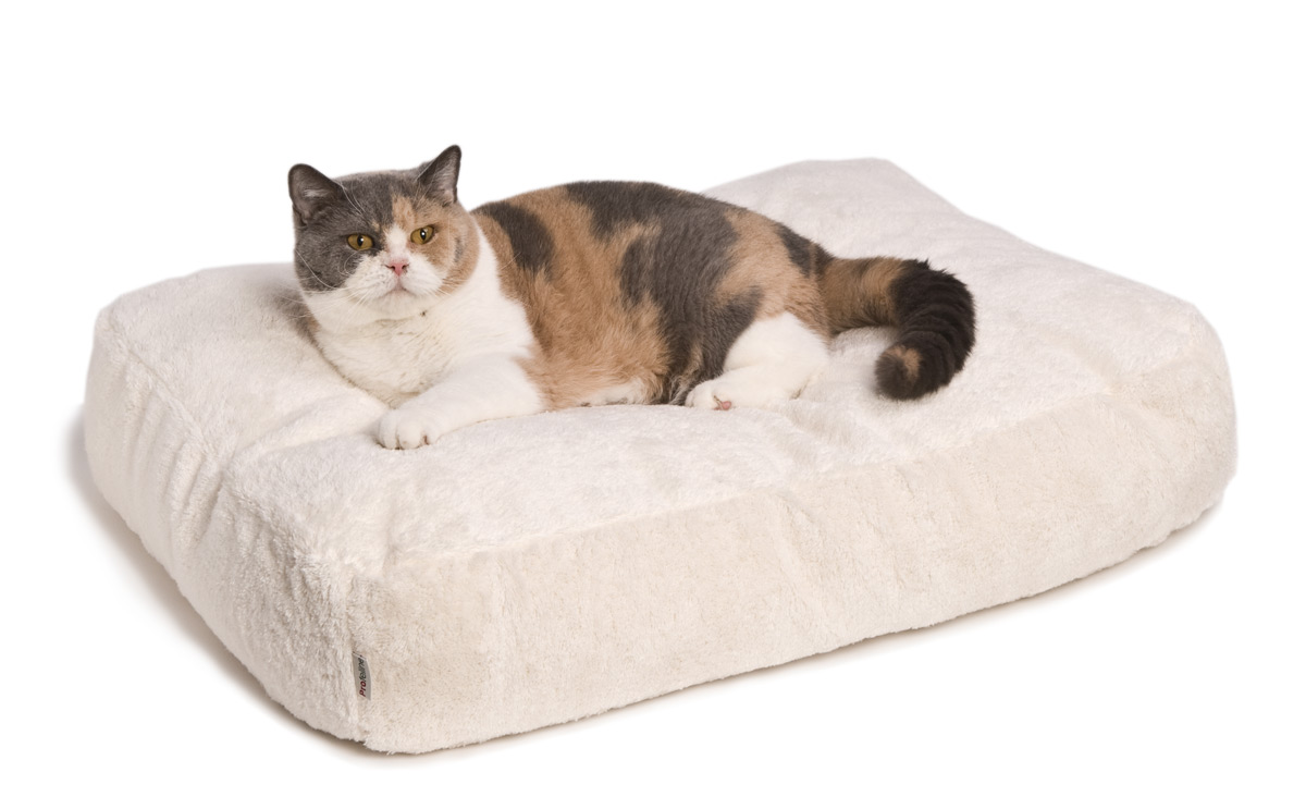 Cat Bed Feline Futon Katzenbett Futon grosse Katzen