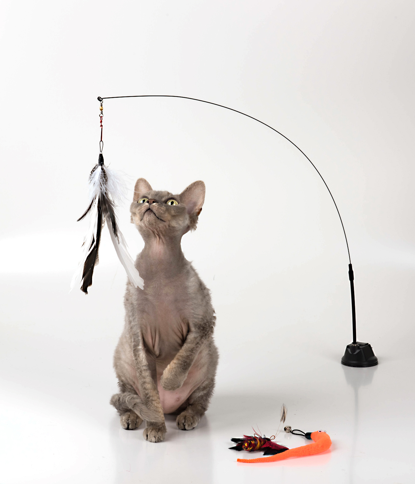 cat feather toy, cat feather toy Suppliers and Manufacturers at