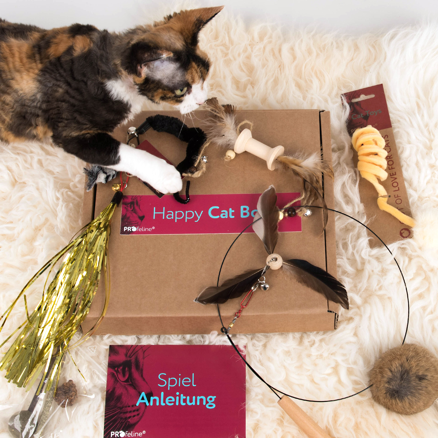 Katzengeschenke Box