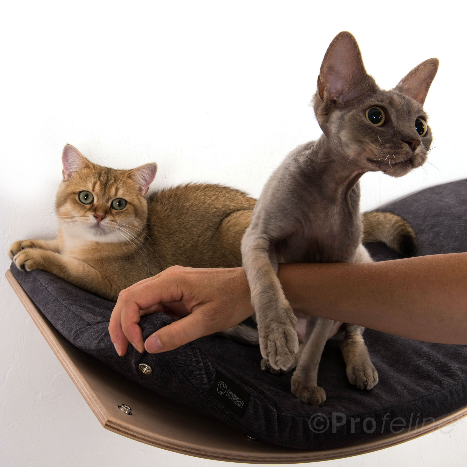 Katzen Wandliege Chill Deluxe Grau