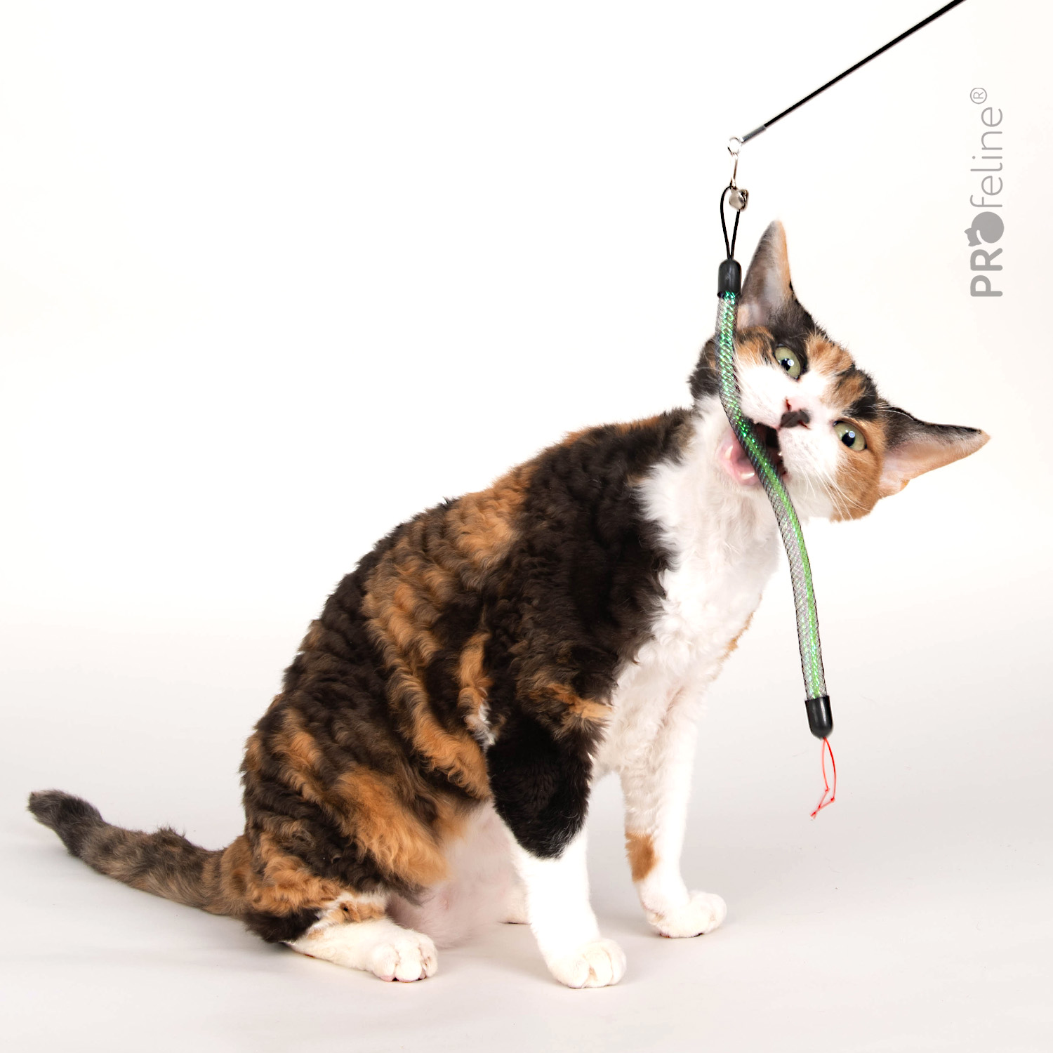 Katzenspielzeug Wurm leuchtend in der Nacht