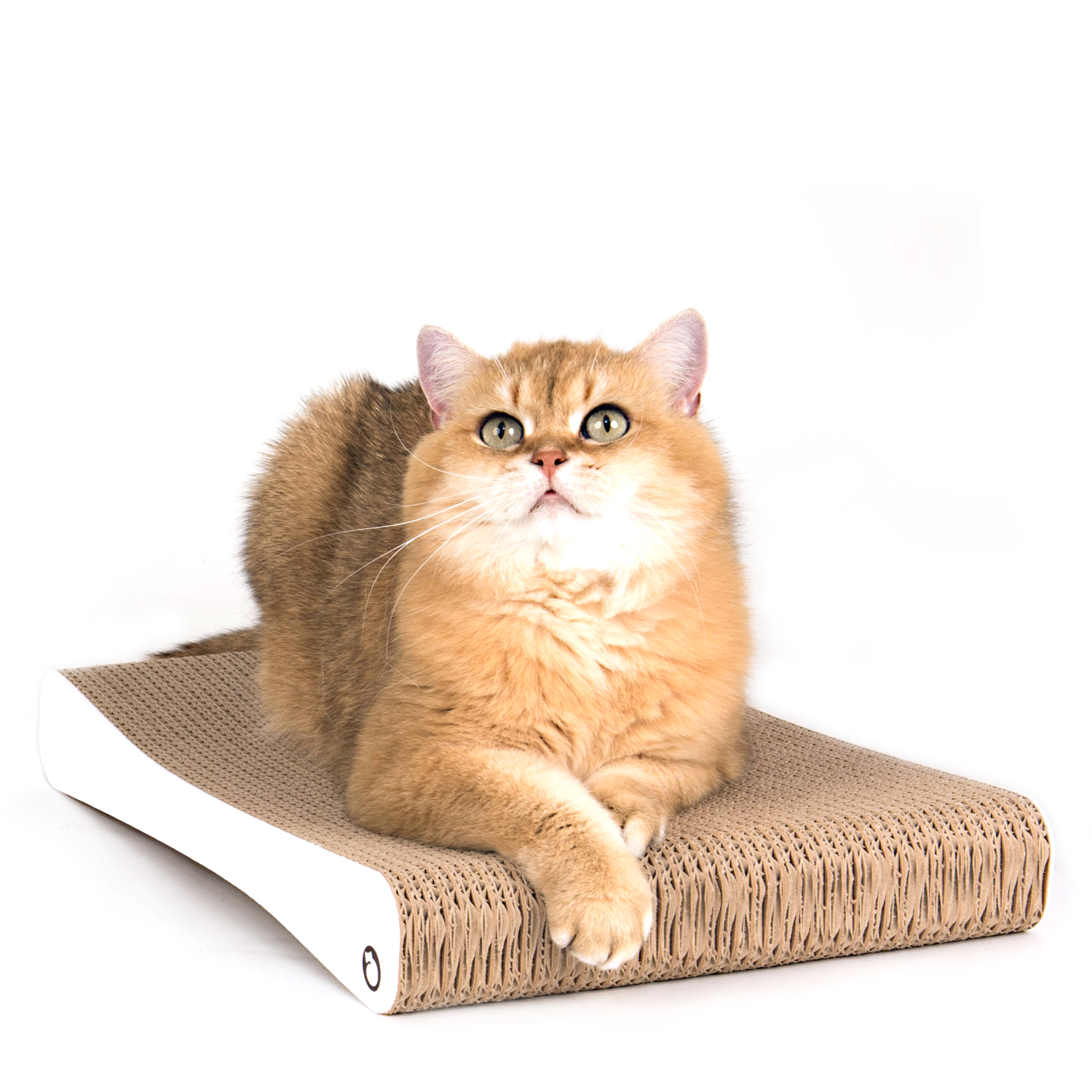 Kratzbrett für Katzen 44 cm weiss