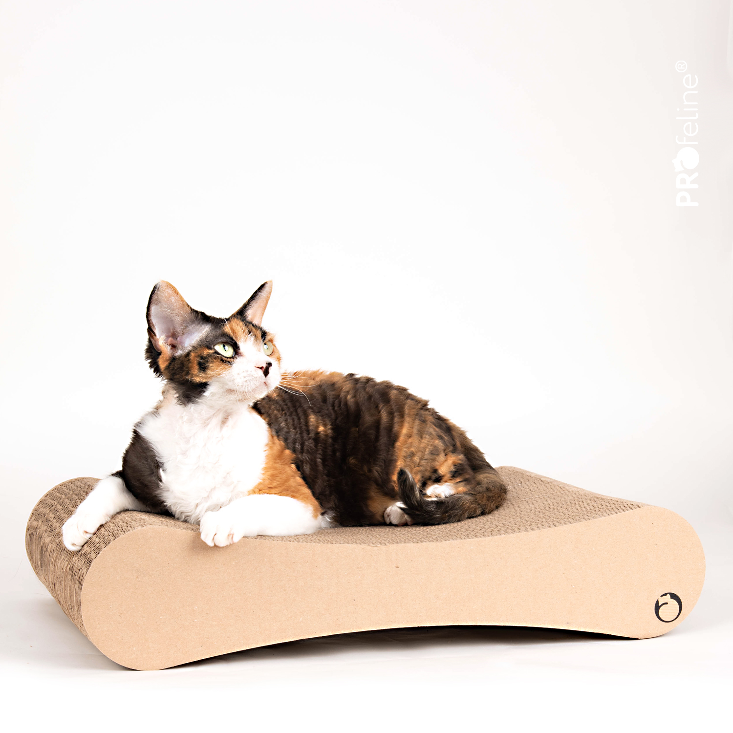 Scratching Board Letto Kratzbrett Kratzpappe Letto