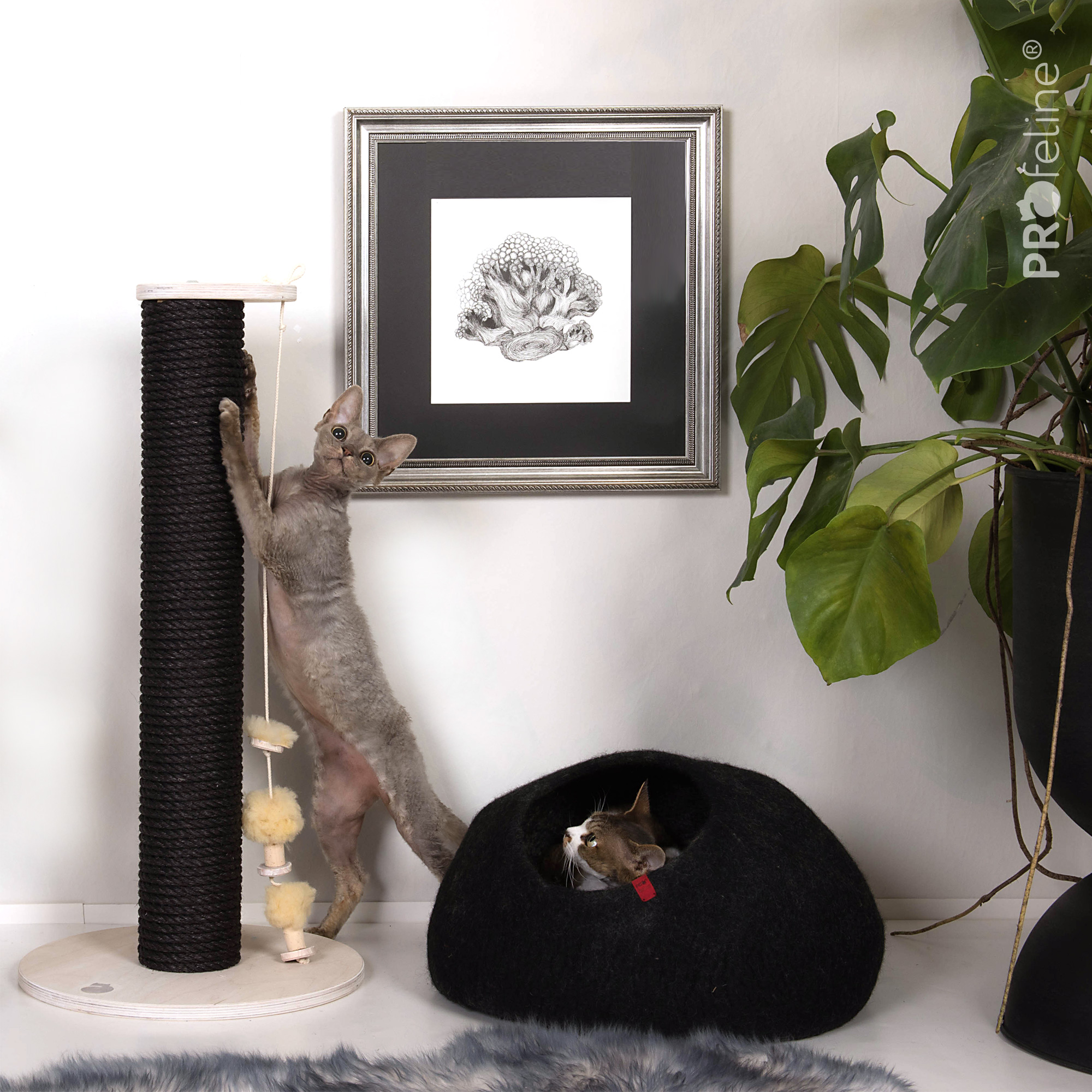 Scratching Post Model Ina Kratzstamm Ina schwarz mit handgefilzter Höhle