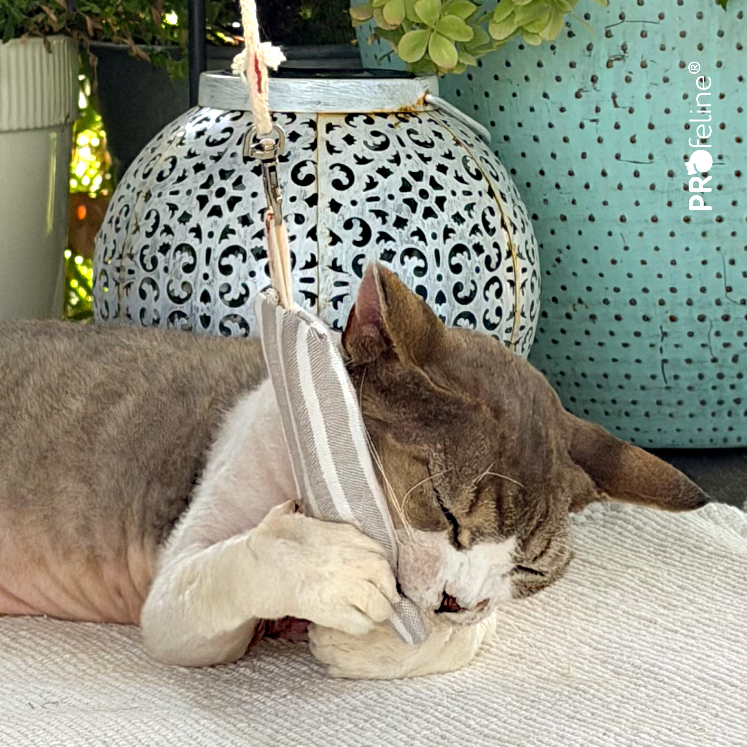 Organic Snuffle Pouch - Refillable Cat Toy