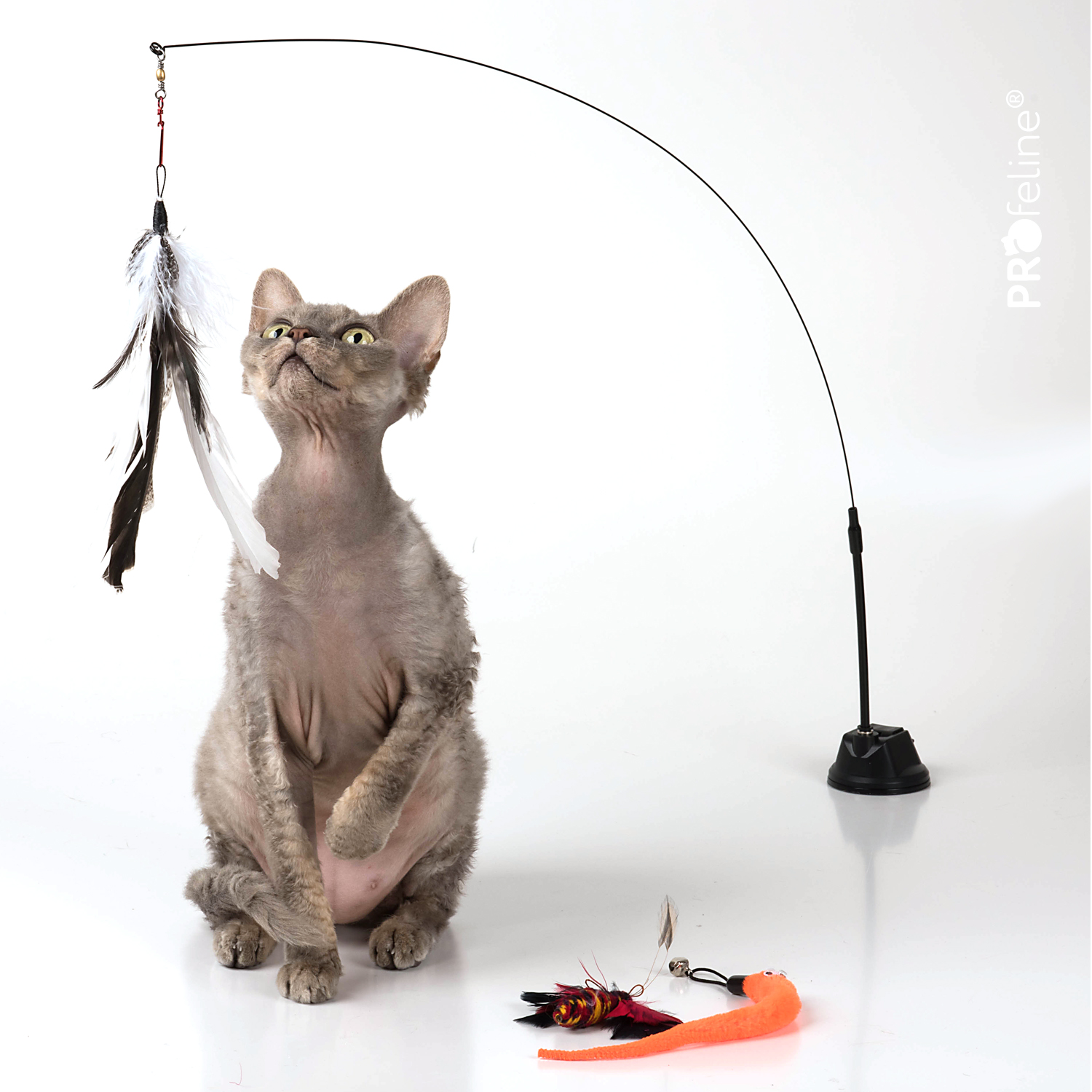 PIPOLINO M pour Chats - Distributeur de croquettes, multicolore PIPOLINO M pour Chats - Distributeur de croquettes, multicolore