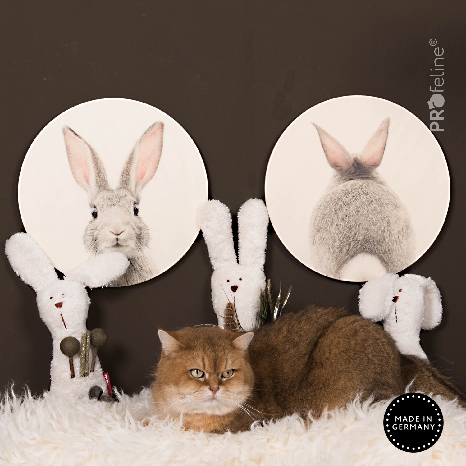 Katzenspielzeug Osterhase nachfüllbar