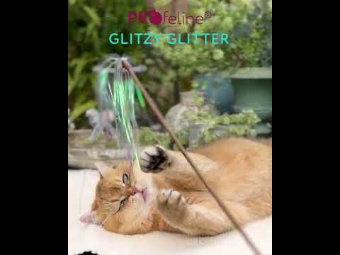 Cat Teaser Glitzy Glitter