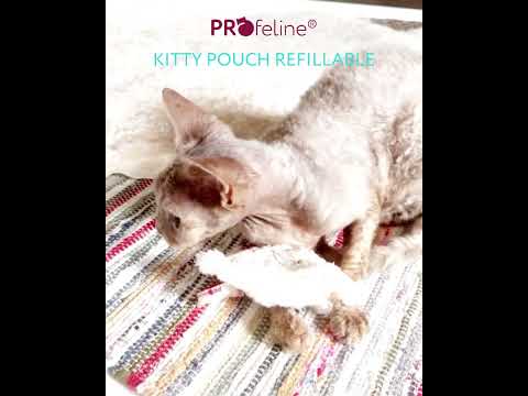 Kitty Pouch Washable / Refillable