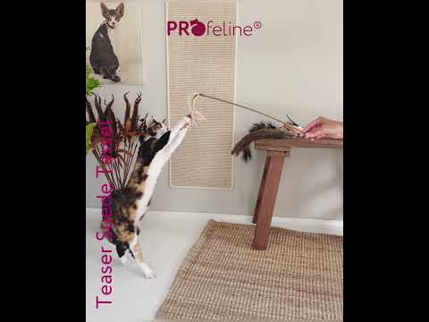 Profeline - Cat Teaser Suede Tassel
