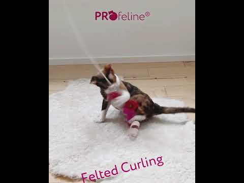 Profeline - Felted Curling