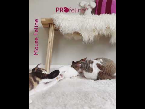Profeline - Mouse Feline Washable / Refillable