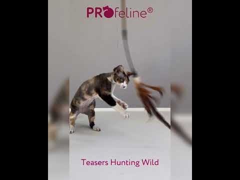 Profeline - Teaser Hunting Wild