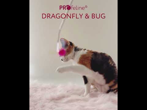 Dragonfly & Bug Refill