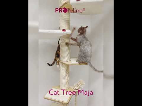 Ceiling Cat Tree Model Maja