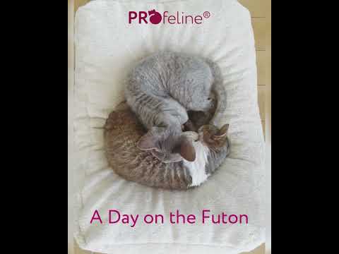 Cat Bed Feline Futon