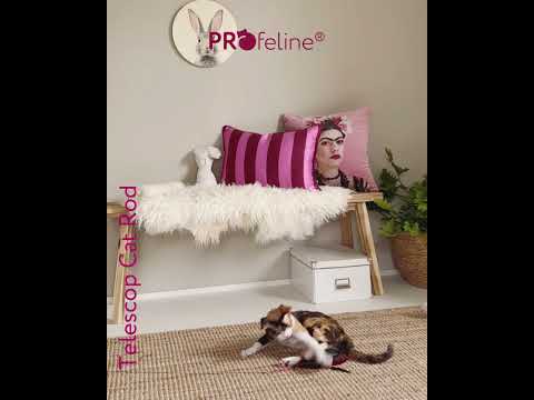 Profeline - Telescopic Cat Rod