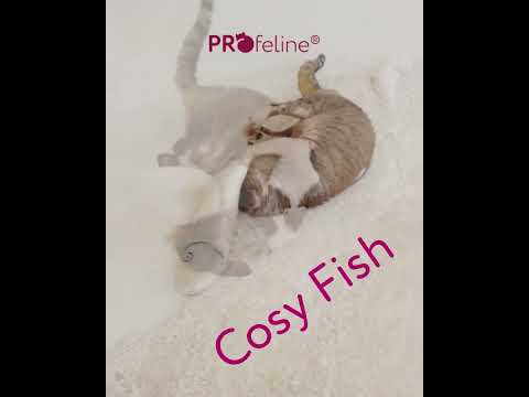 Profeline - Cosy Fish