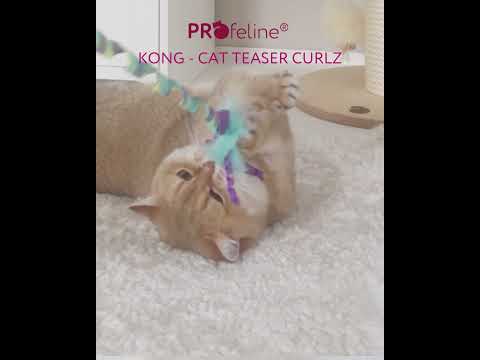 KONG - Cat Teaser Curlz