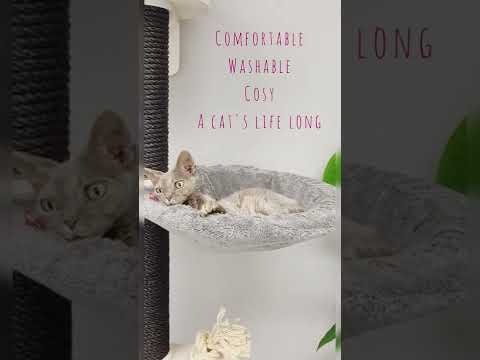 Washable Cad Bed for Cat Trees