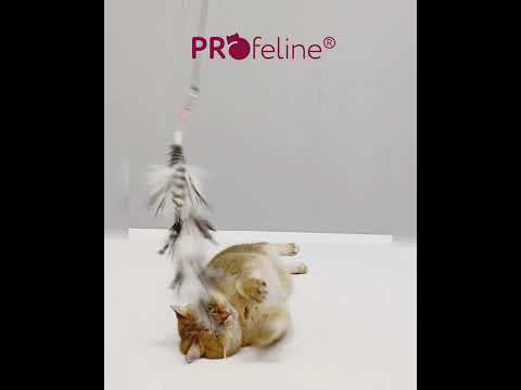 Profeline - Ostrich Refill