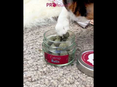 Catnip Balls