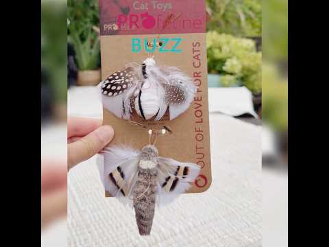 Profeline - Special Edition BUZZ - Attachements